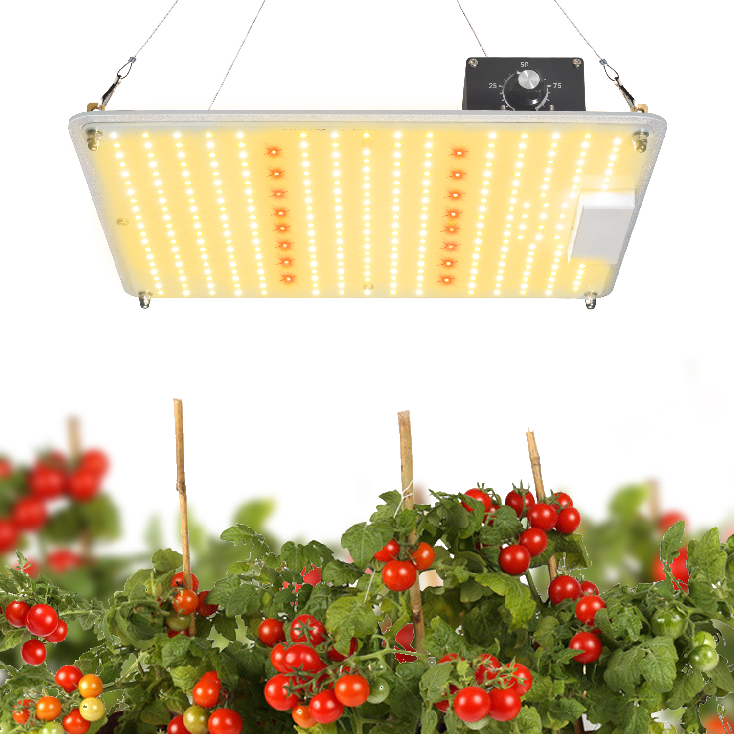 艾博特YC-1000M系列详情