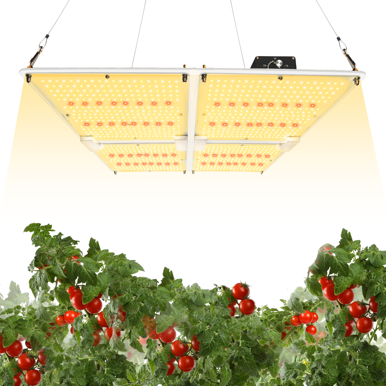 艾博特YC系列4000M详情页