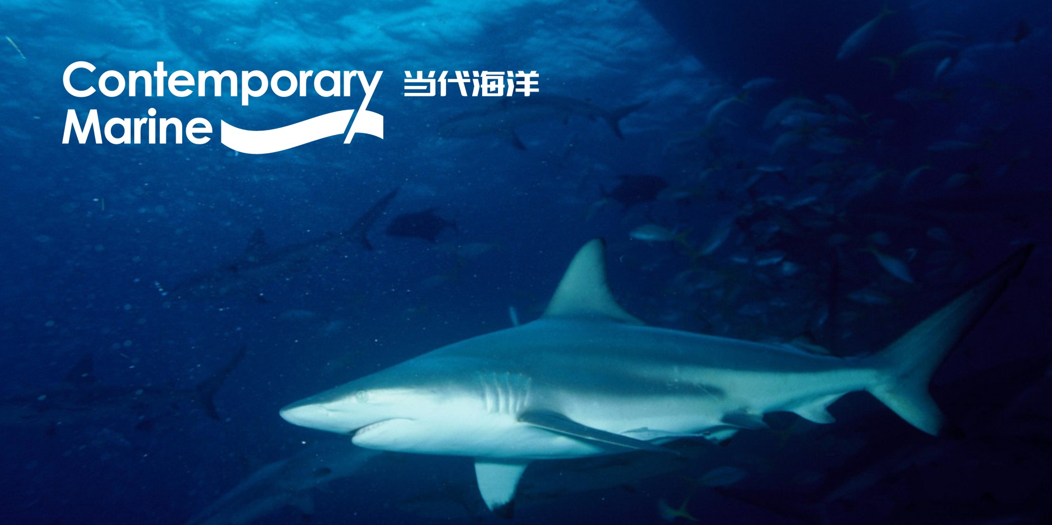 微型VI设计一般多少钱？2025最新报价解析