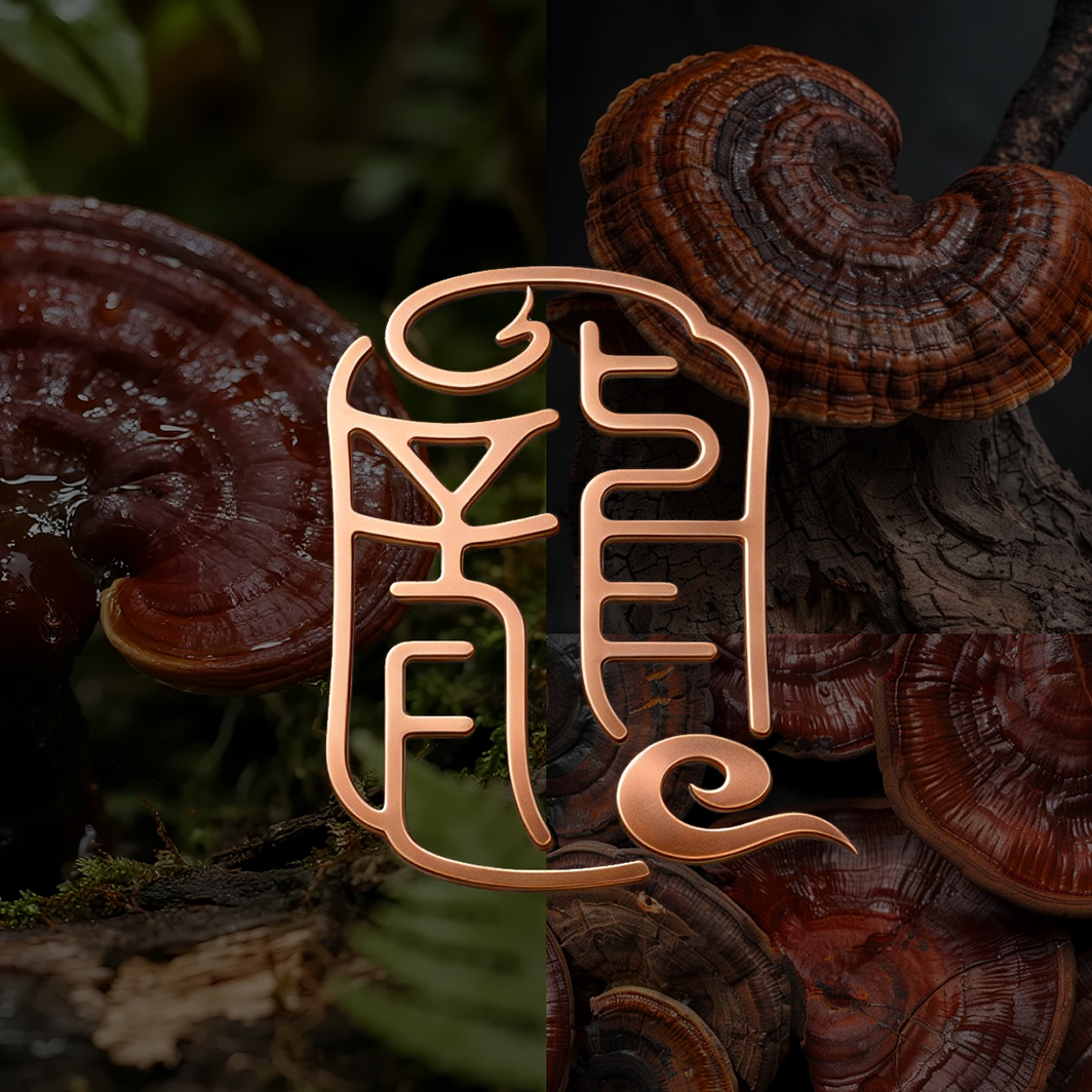 龙溪谷品牌包装策划设计，品牌定位，logo设计