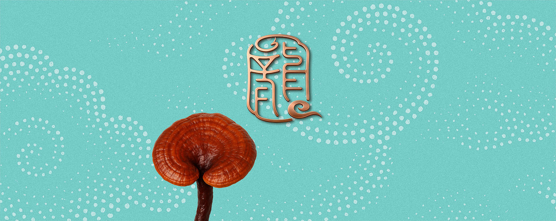 龙溪谷品牌包装策划设计，品牌定位，logo设计